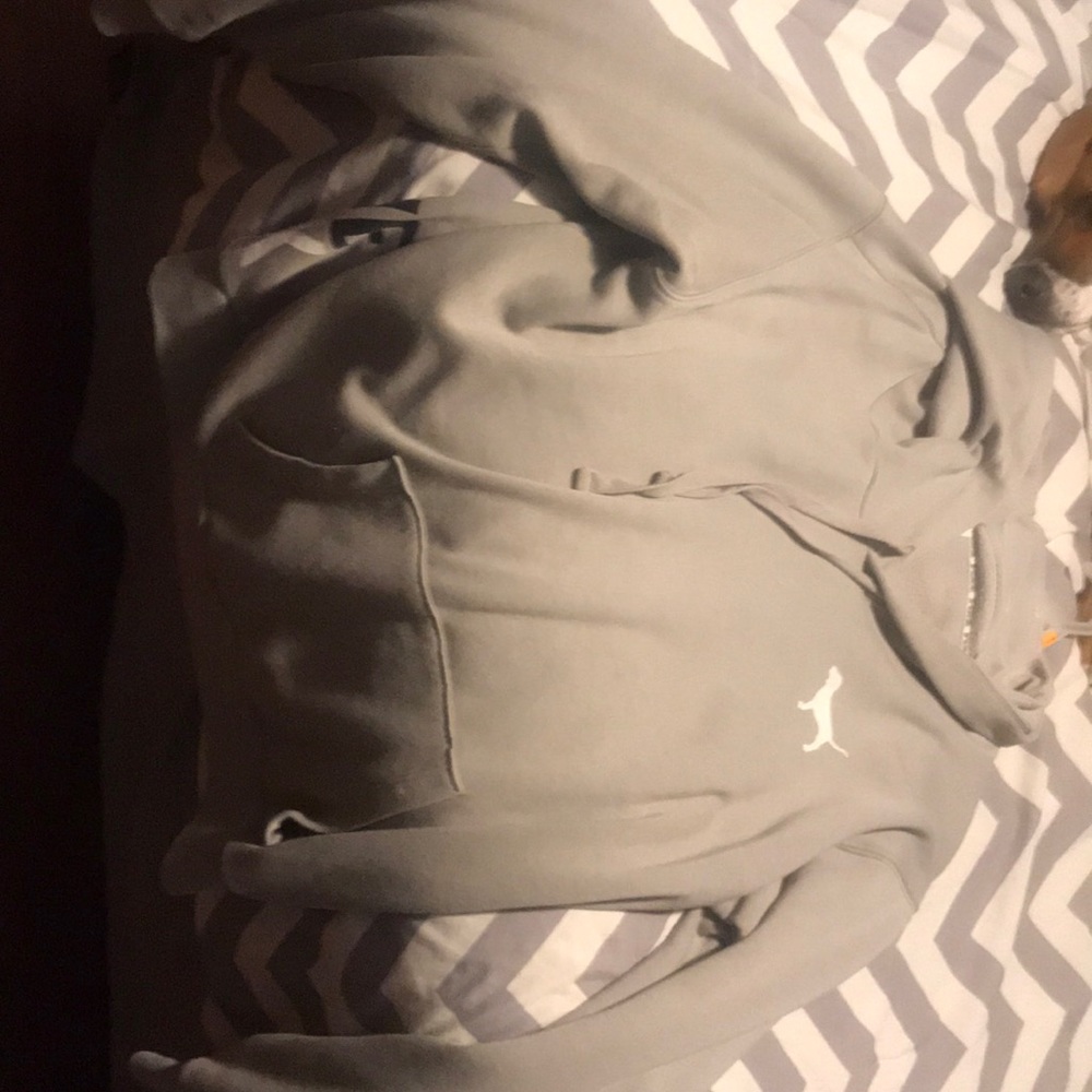 Victoria’s Secret Grey Sweatshirt